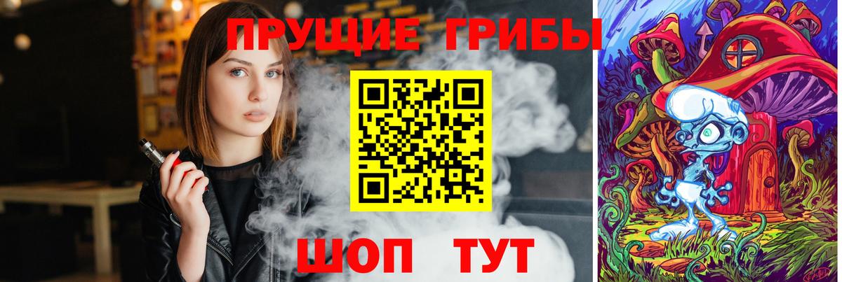 Галлюциногенные грибы Psilocybine cubensis  Псилоцибиновые грибы GOLDEN TEACHER  Вход с VPN  Калининград 