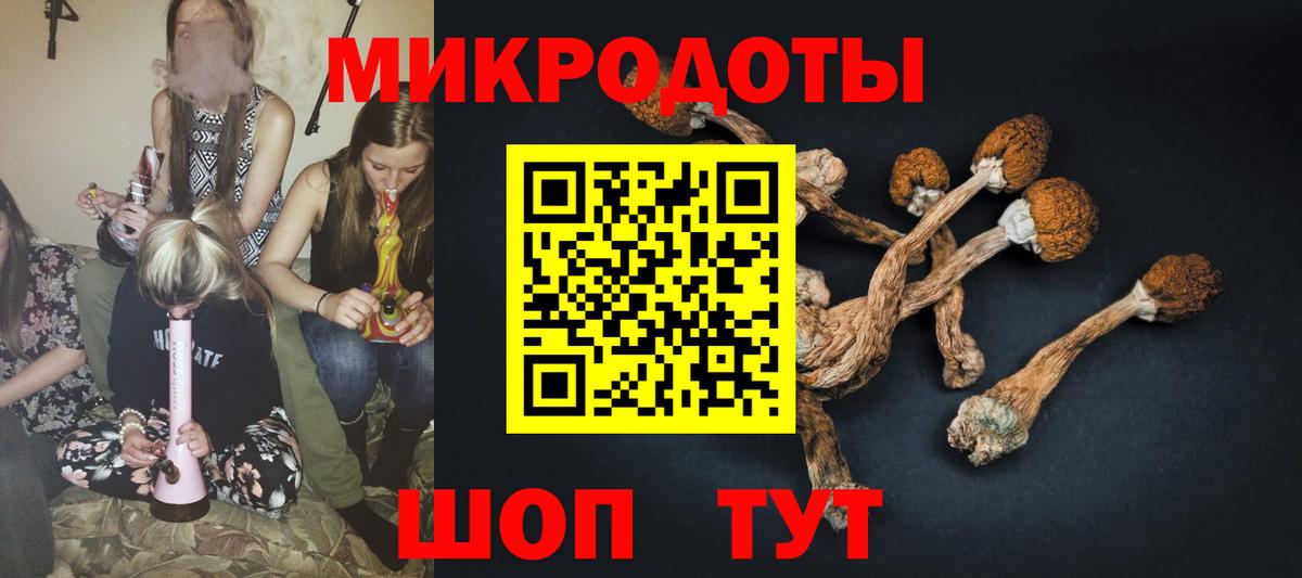 Галлюциногенные грибы GOLDEN TEACHER Калининград